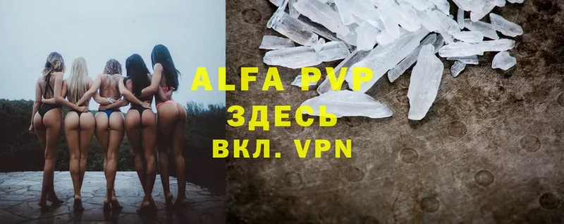 Alfa_PVP СК КРИС  Белокуриха 