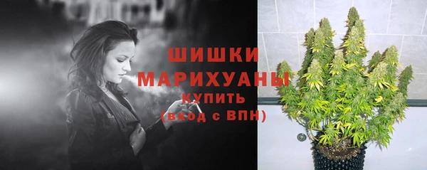 ПСИЛОЦИБИНОВЫЕ ГРИБЫ Майский