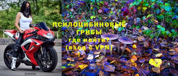 СК Магадан