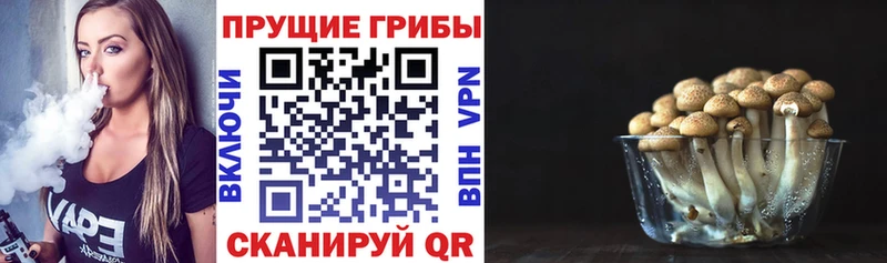 кракен ONION  Белокуриха  Галлюциногенные грибы ЛСД 